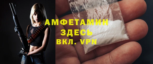 стафф Алексин
