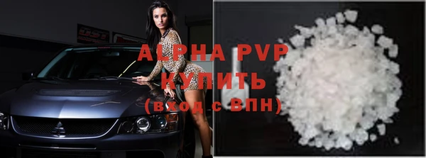 стафф Алексин
