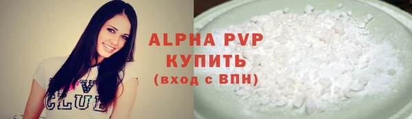 стафф Алексин