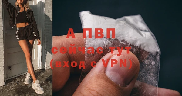 каннабис Абаза