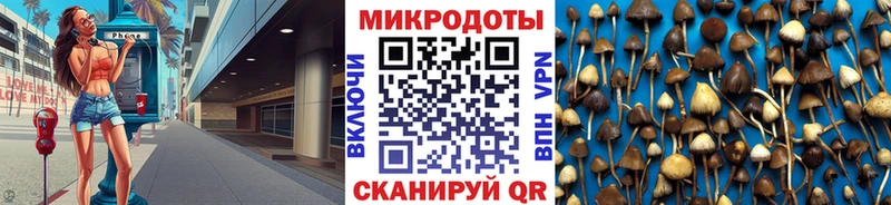 Галлюциногенные грибы Psilocybine cubensis  как найти закладки  Щёлкино 