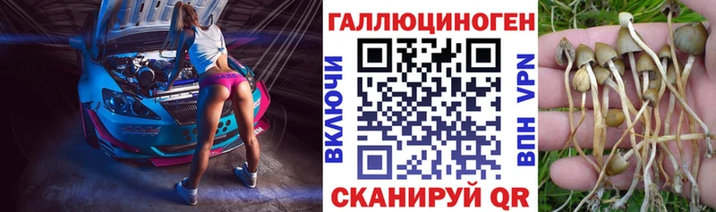 Галлюциногенные грибы MAGIC MUSHROOMS Щёлкино